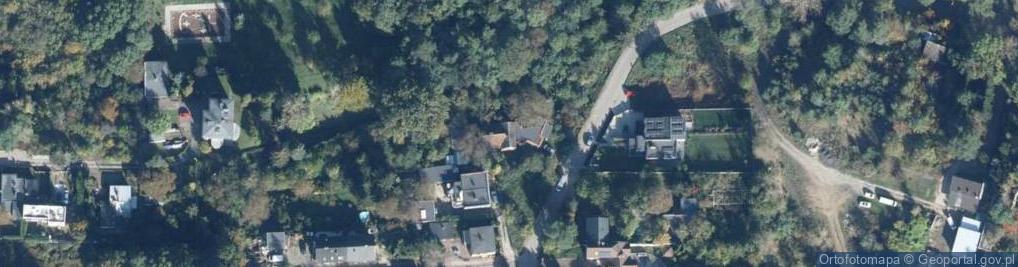 Zdjęcie satelitarne Gołębia ul.