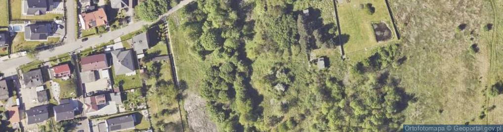 Zdjęcie satelitarne Górna ul.