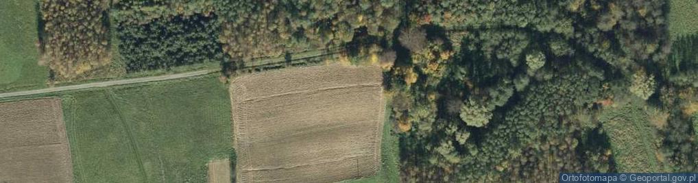 Zdjęcie satelitarne Górzysta ul.