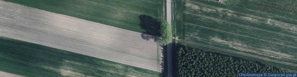 Zdjęcie satelitarne Gościniec ul.