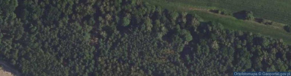 Zdjęcie satelitarne Góralska ul.