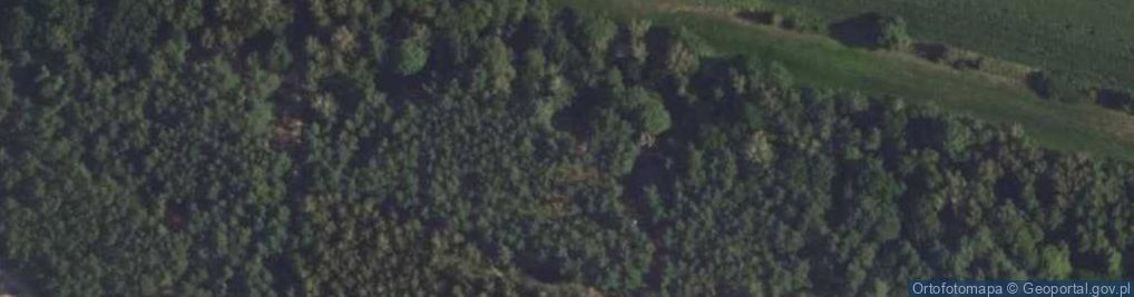 Zdjęcie satelitarne Góralska ul.