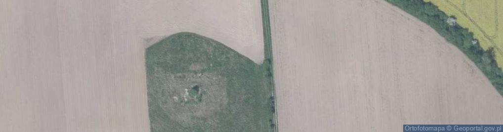 Zdjęcie satelitarne Gołębia ul.