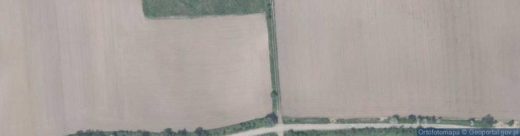 Zdjęcie satelitarne Gołębia ul.