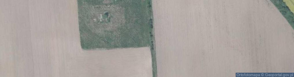 Zdjęcie satelitarne Gołębia ul.