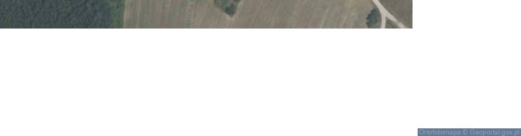 Zdjęcie satelitarne Góźdź ul.