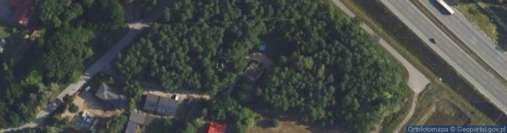 Zdjęcie satelitarne Gołębia ul.