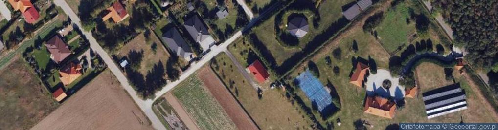 Zdjęcie satelitarne Gołębia ul.