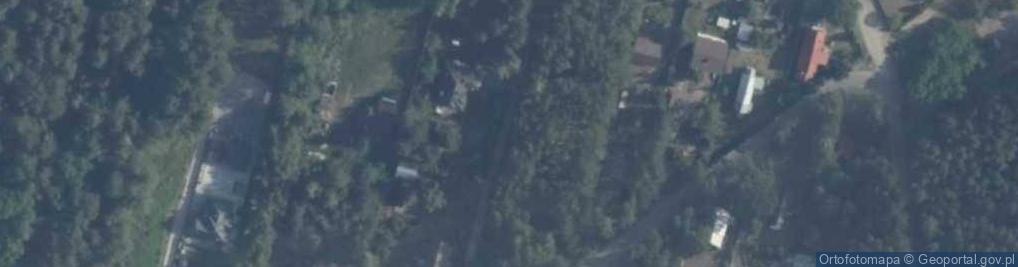 Zdjęcie satelitarne Grzybowa ul.