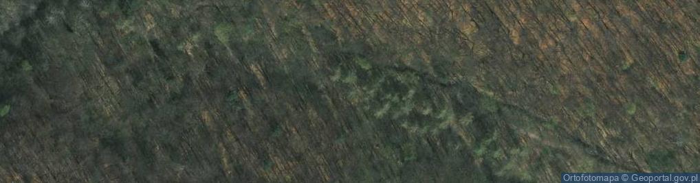 Zdjęcie satelitarne Grzybowa ul.