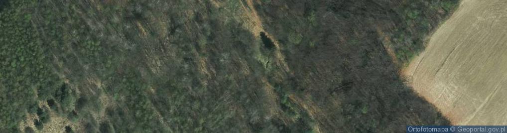 Zdjęcie satelitarne Grzybowa ul.