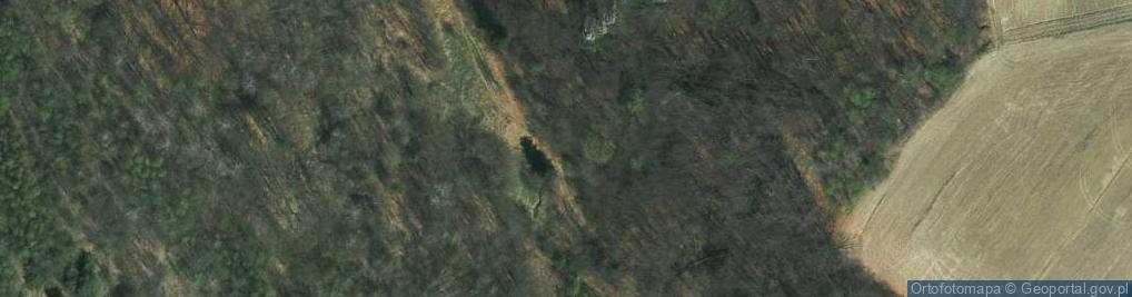 Zdjęcie satelitarne Grzybowa ul.