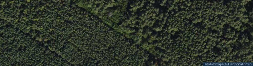 Zdjęcie satelitarne Graniczna ul.