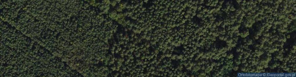 Zdjęcie satelitarne Graniczna ul.