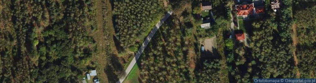 Zdjęcie satelitarne Grzybowa ul.
