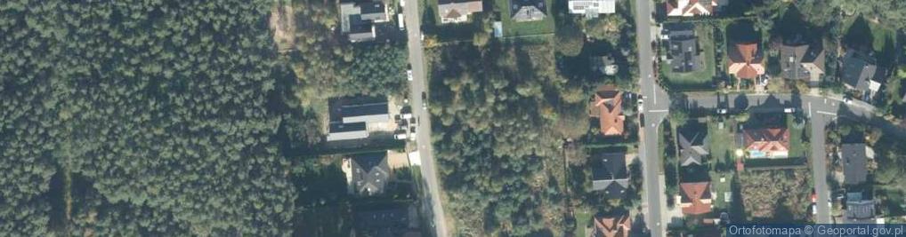 Zdjęcie satelitarne Grzybobranie ul.