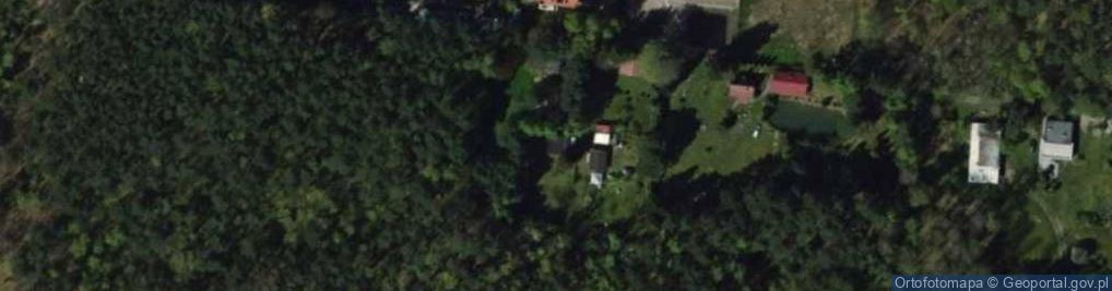 Zdjęcie satelitarne Grzybowa ul.