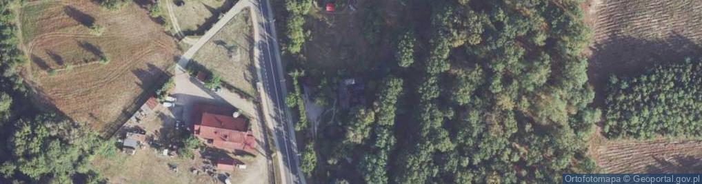 Zdjęcie satelitarne Gryfińska ul.