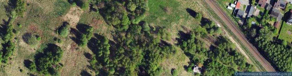 Zdjęcie satelitarne Grzybowska ul.