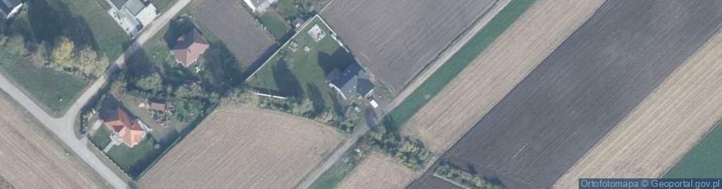 Zdjęcie satelitarne Grzybowa ul.