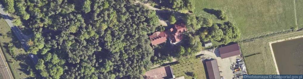 Zdjęcie satelitarne Grunwaldzka ul.