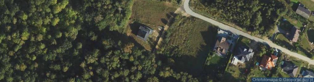 Zdjęcie satelitarne Grzybowa ul.