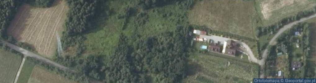 Zdjęcie satelitarne Grzybowa ul.