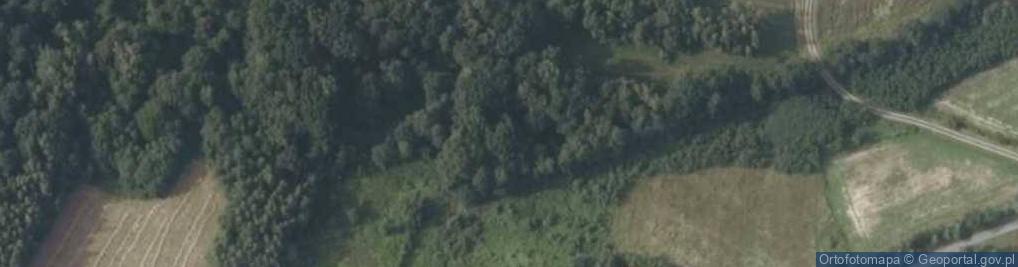 Zdjęcie satelitarne Grzybowa ul.