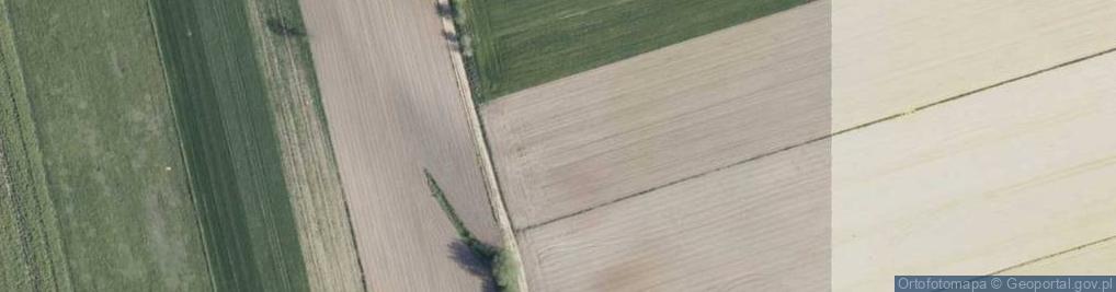 Zdjęcie satelitarne Grzybowa ul.