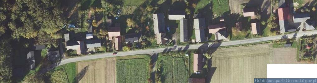 Zdjęcie satelitarne Grzybowa ul.