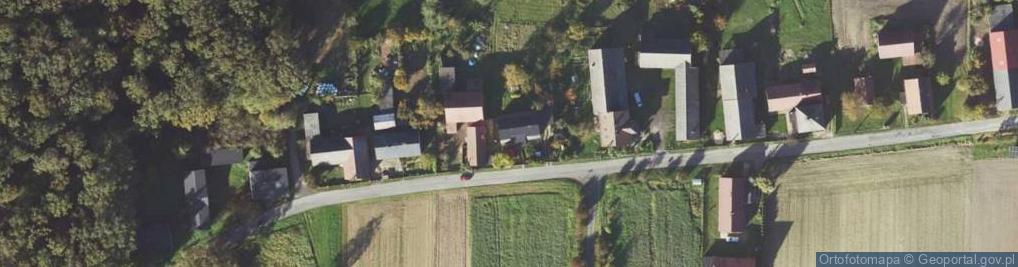 Zdjęcie satelitarne Grzybowa ul.