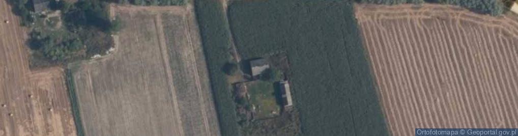 Zdjęcie satelitarne Grąbczewo ul.