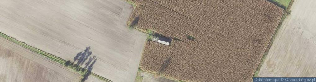 Zdjęcie satelitarne Grabów-Wójtostwo ul.