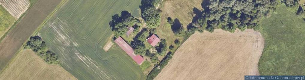 Zdjęcie satelitarne Grzybowa ul.