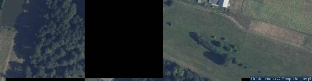 Zdjęcie satelitarne Grala-Dąbrowizna ul.