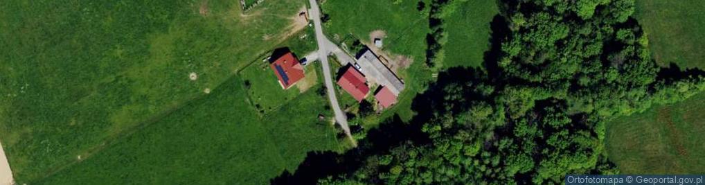 Zdjęcie satelitarne Grodziec ul.