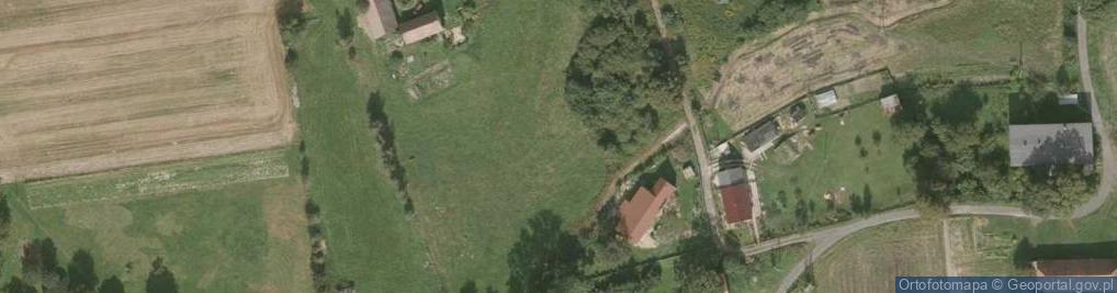 Zdjęcie satelitarne Grodziec ul.