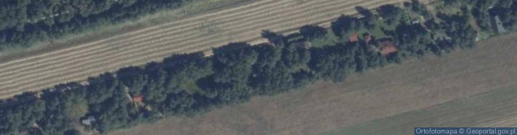 Zdjęcie satelitarne Grodzisk ul.