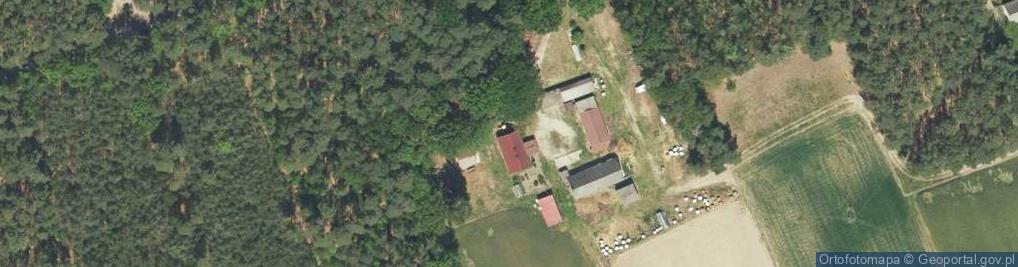 Zdjęcie satelitarne Grotów ul.