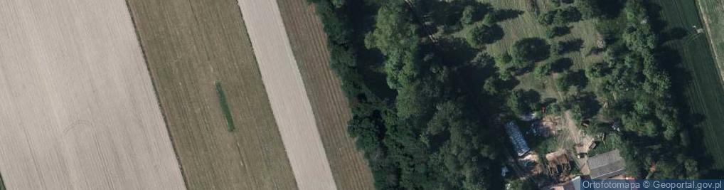 Zdjęcie satelitarne Grudź ul.