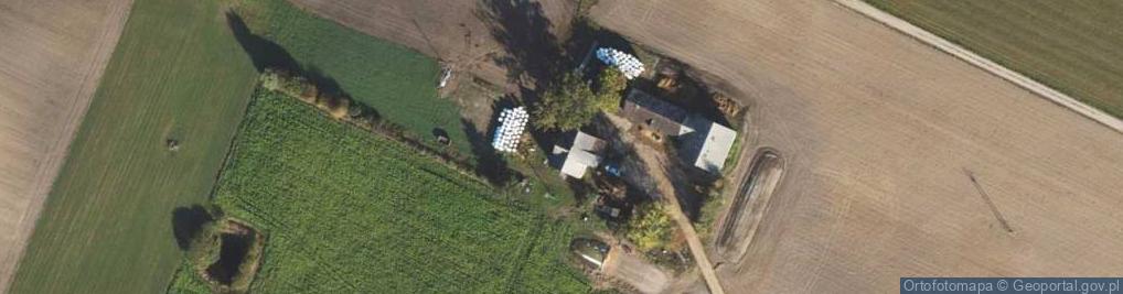 Zdjęcie satelitarne Grzęby ul.