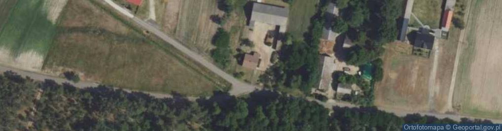Zdjęcie satelitarne Grzyb ul.