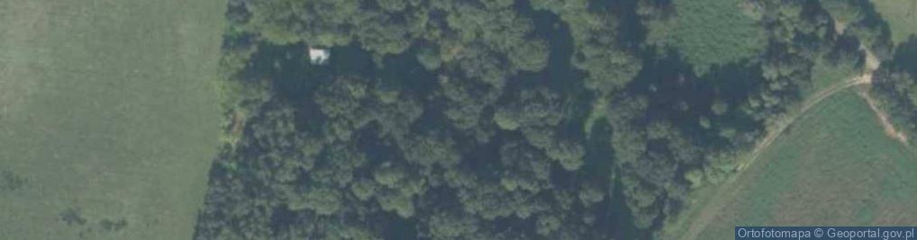 Zdjęcie satelitarne Grzybno ul.