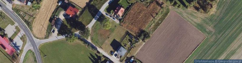 Zdjęcie satelitarne Grzybno ul.