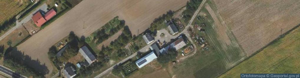 Zdjęcie satelitarne Grzybno ul.