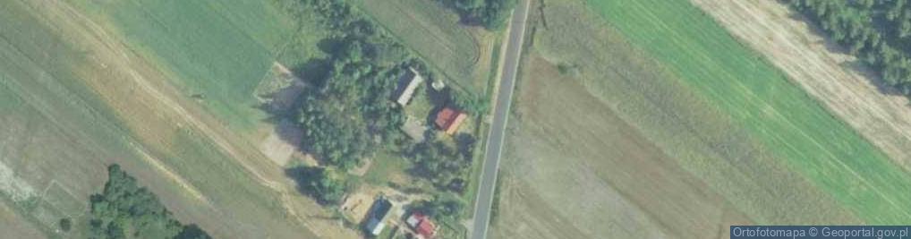 Zdjęcie satelitarne Grzybów ul.