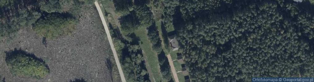 Zdjęcie satelitarne Grzybowo ul.