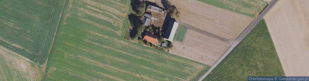 Zdjęcie satelitarne Grzywna ul.