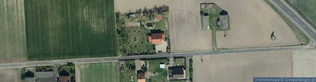 Zdjęcie satelitarne Grzywna ul.
