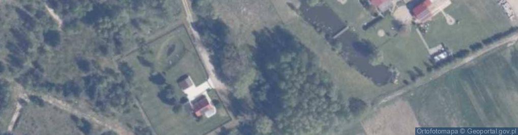 Zdjęcie satelitarne Grzybowa ul.